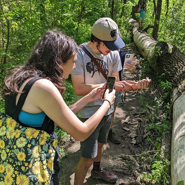 City Nature Challenge at Overton Park - logo